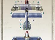 Albatros D.V, 'Horseshoe & Clover', Jasta 18, 1917-18. Revised October 2011 due to new information received.